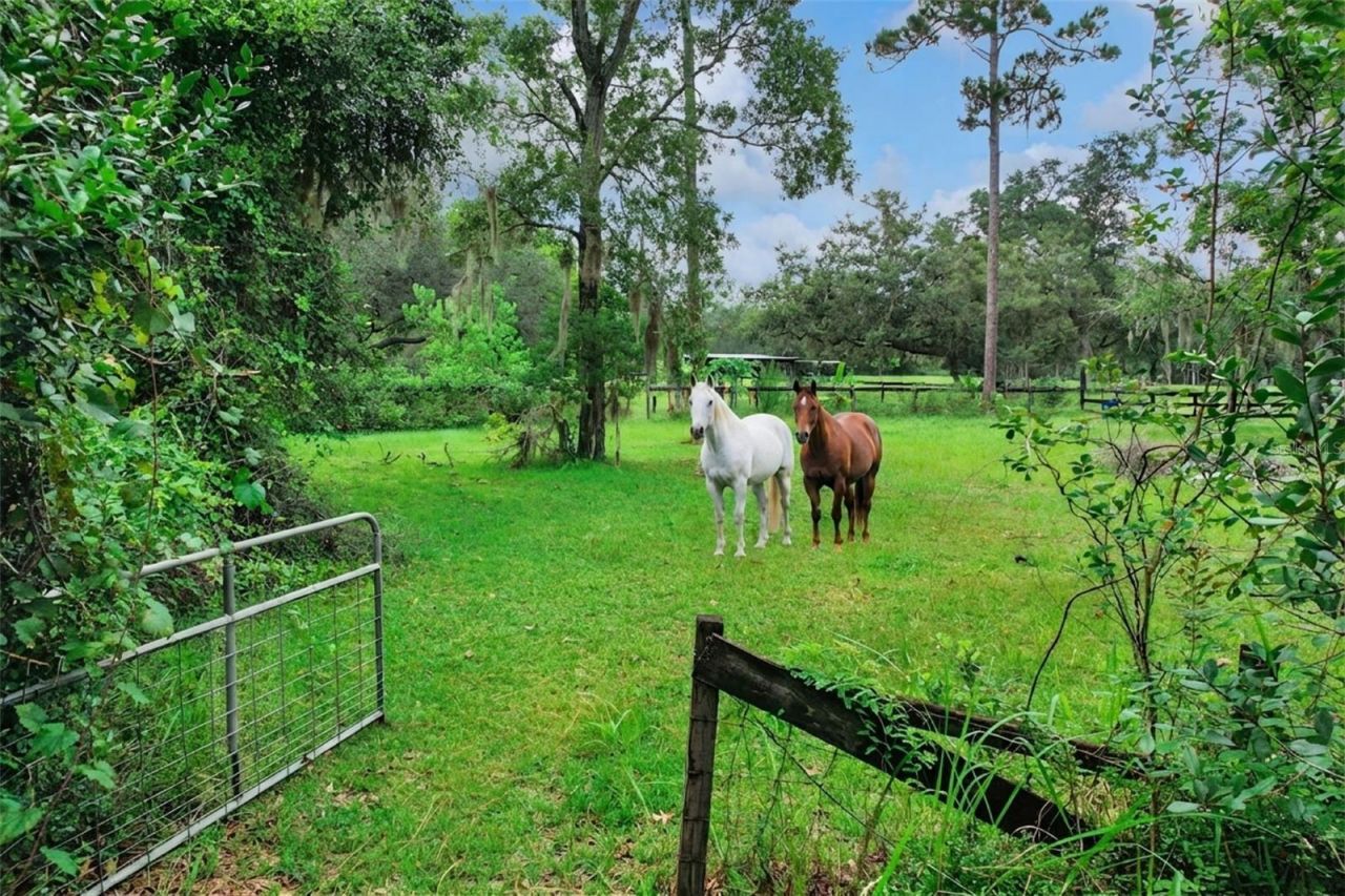 1675 Curryville Road, Chuluota, FL 32766 Photo