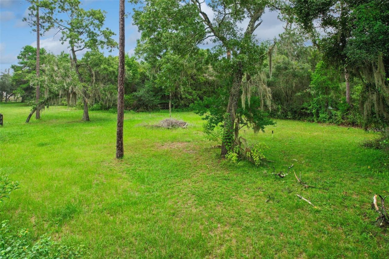 1675 Curryville Road, Chuluota, FL 32766 Photo