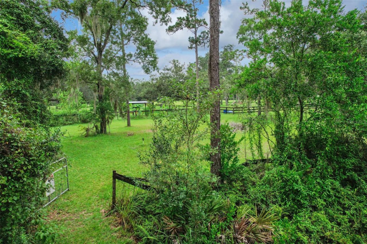 1675 Curryville Road, Chuluota, FL 32766 Photo