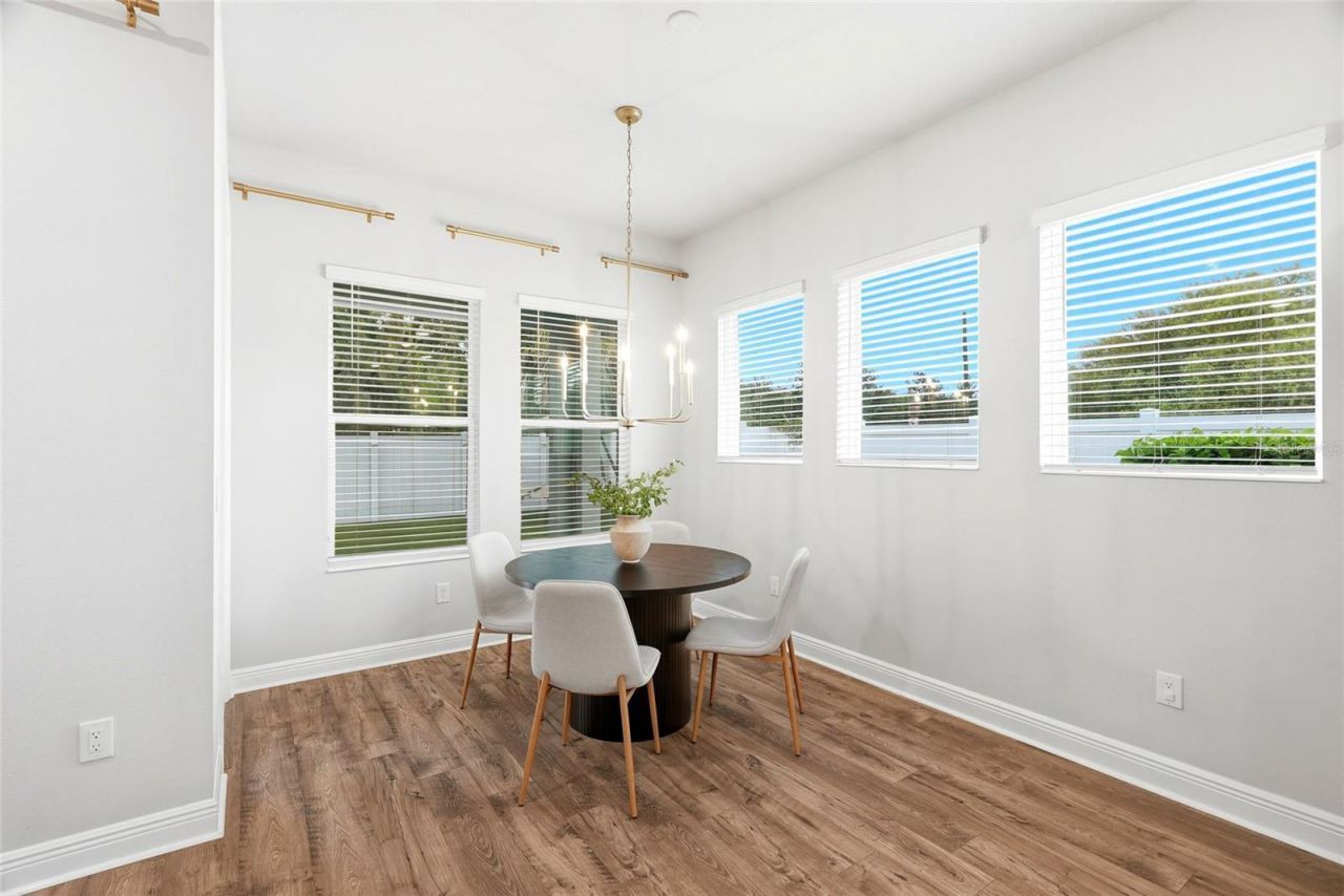5701 Camila Song Lane, Tampa, FL 33625 Photo