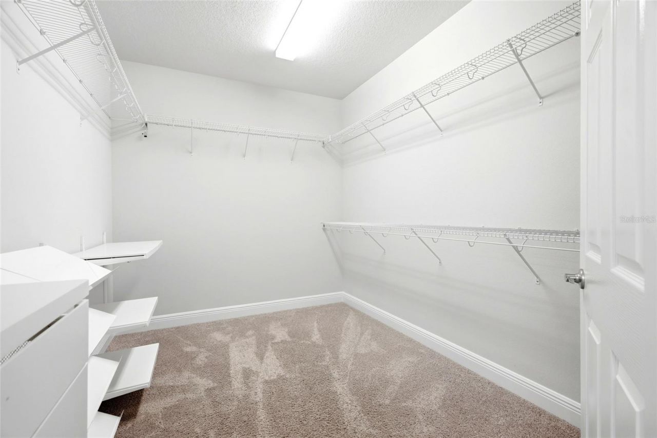 5701 Camila Song Lane, Tampa, FL 33625 Photo