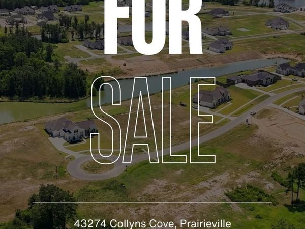 43274 Collyns Cove, Prairieville, LA 70769