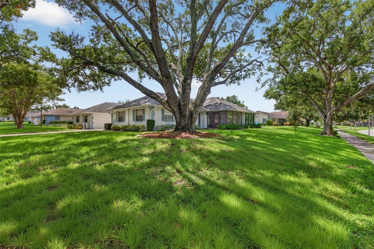 1275 Stonehaven Lane, Dunedin, FL 34698 Photo