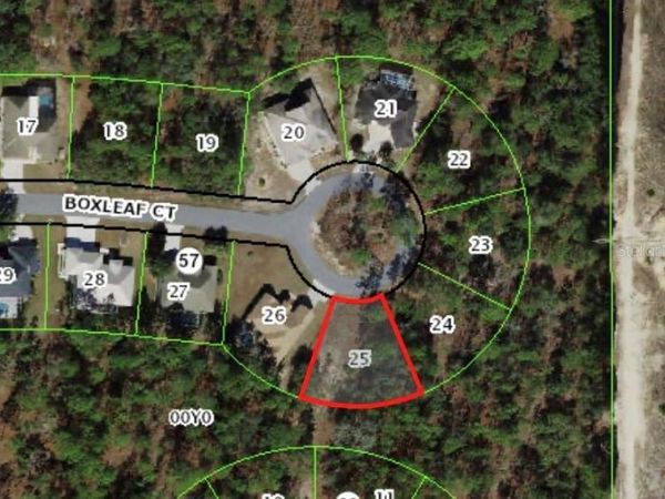 37 BOXLEAF COURT , HOMOSASSA, FL 34446