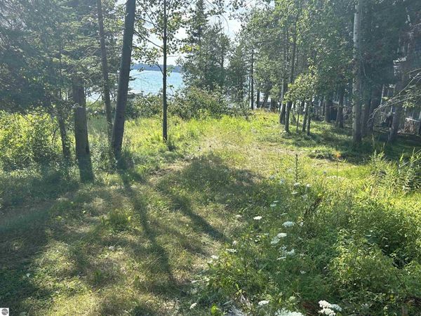 5 Wak Wing Drive, Central Lake, MI 49622