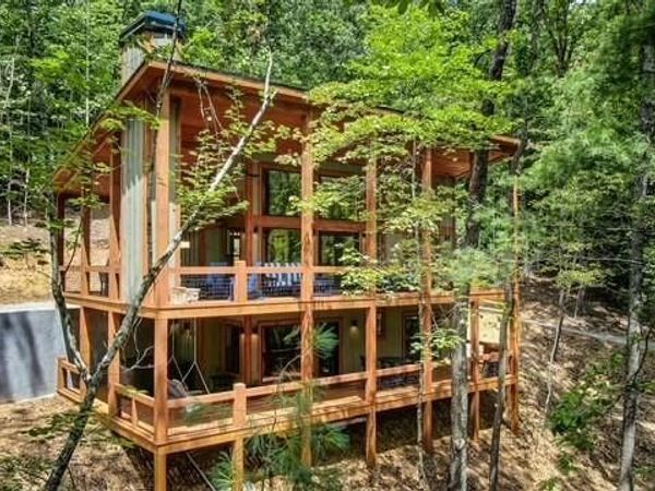 1360 Black Ankle Creek Road, Blue Ridge, GA 30513