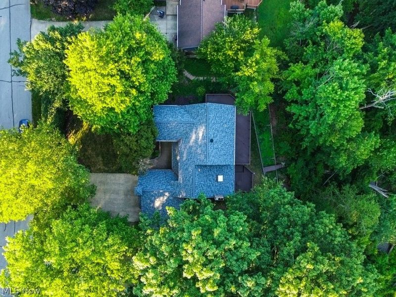 8458 Barbara Drive, Mentor, OH 44060 Photo 46