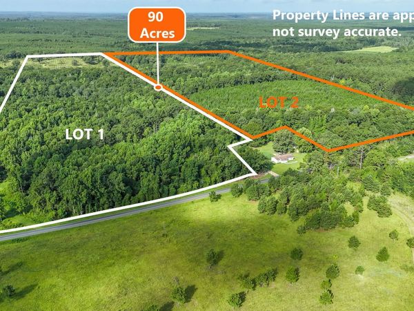 0 Roddy Highway, Eastman, GA 31023