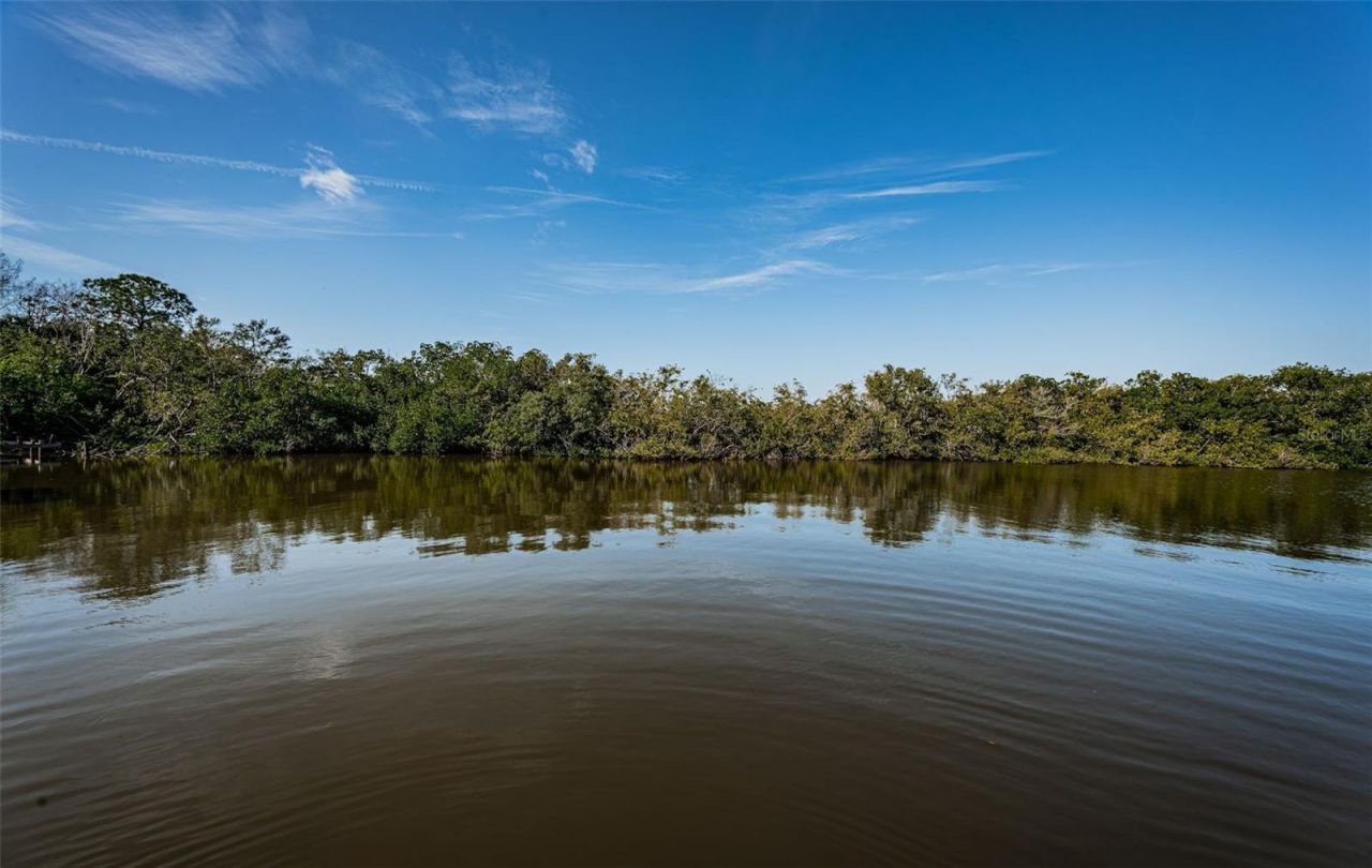 3627 Grayton Drive, New Port Richey, FL 34652 Photo