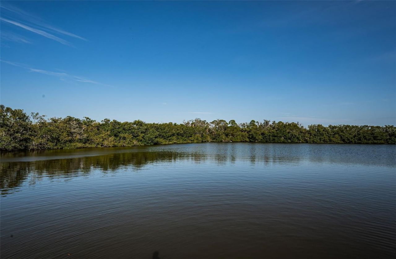 3627 Grayton Drive, New Port Richey, FL 34652 Photo