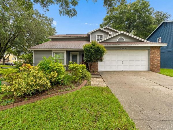 16507 CRANWOOD PLACE , TAMPA, FL 33618