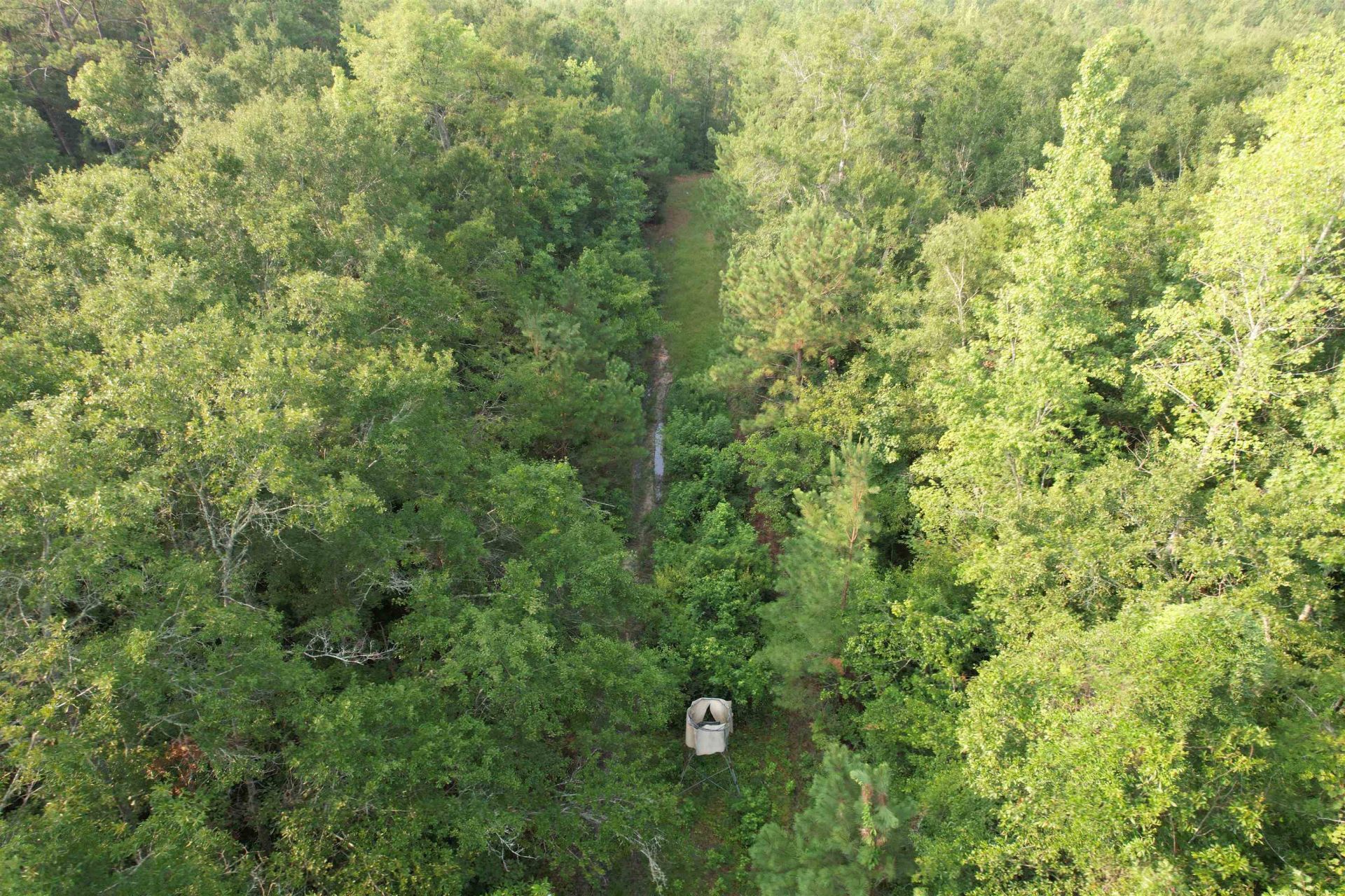 81.30 Acres - Blackberry Rd.  Photo 14