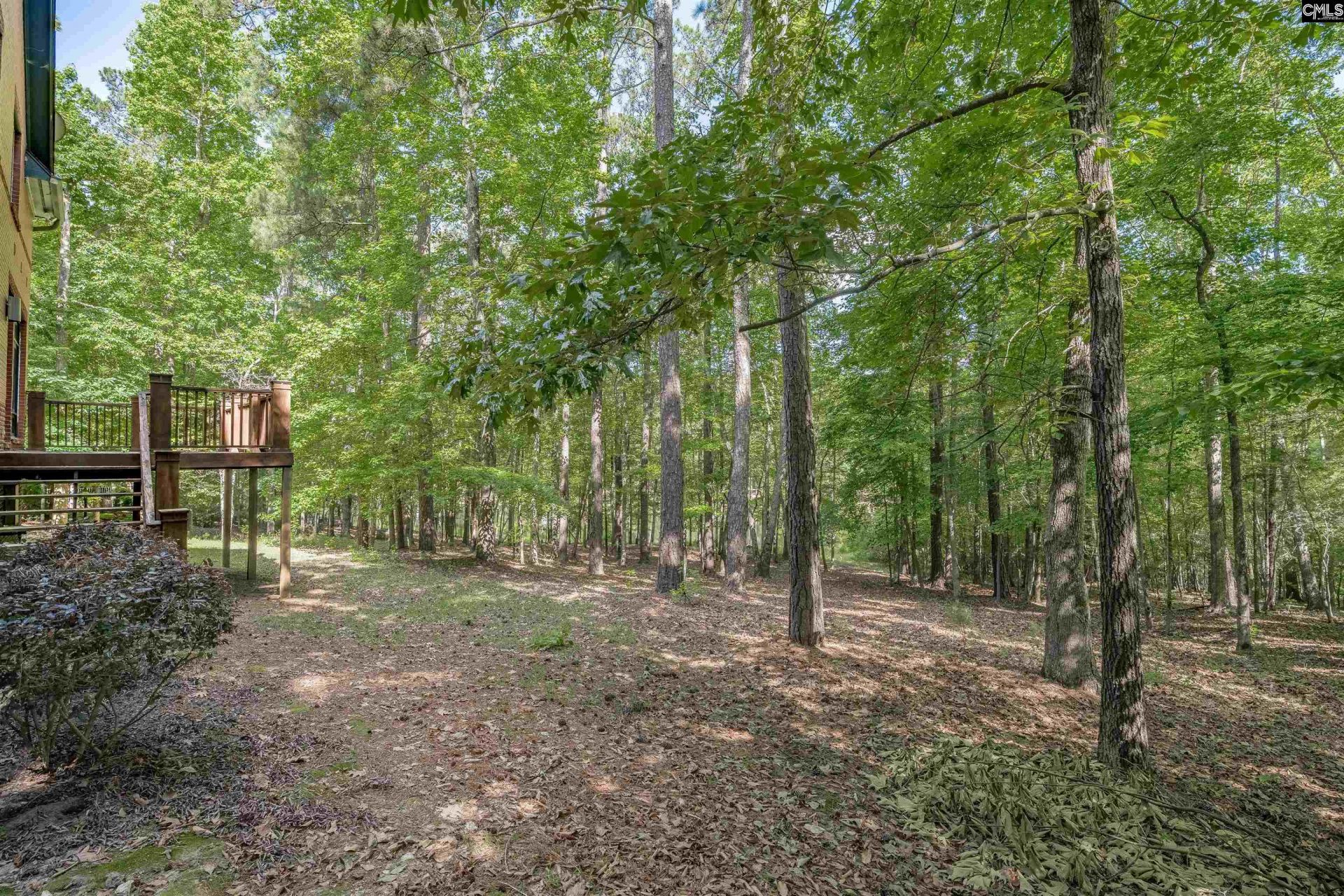 217 Ashley Oaks Drive  Photo 34