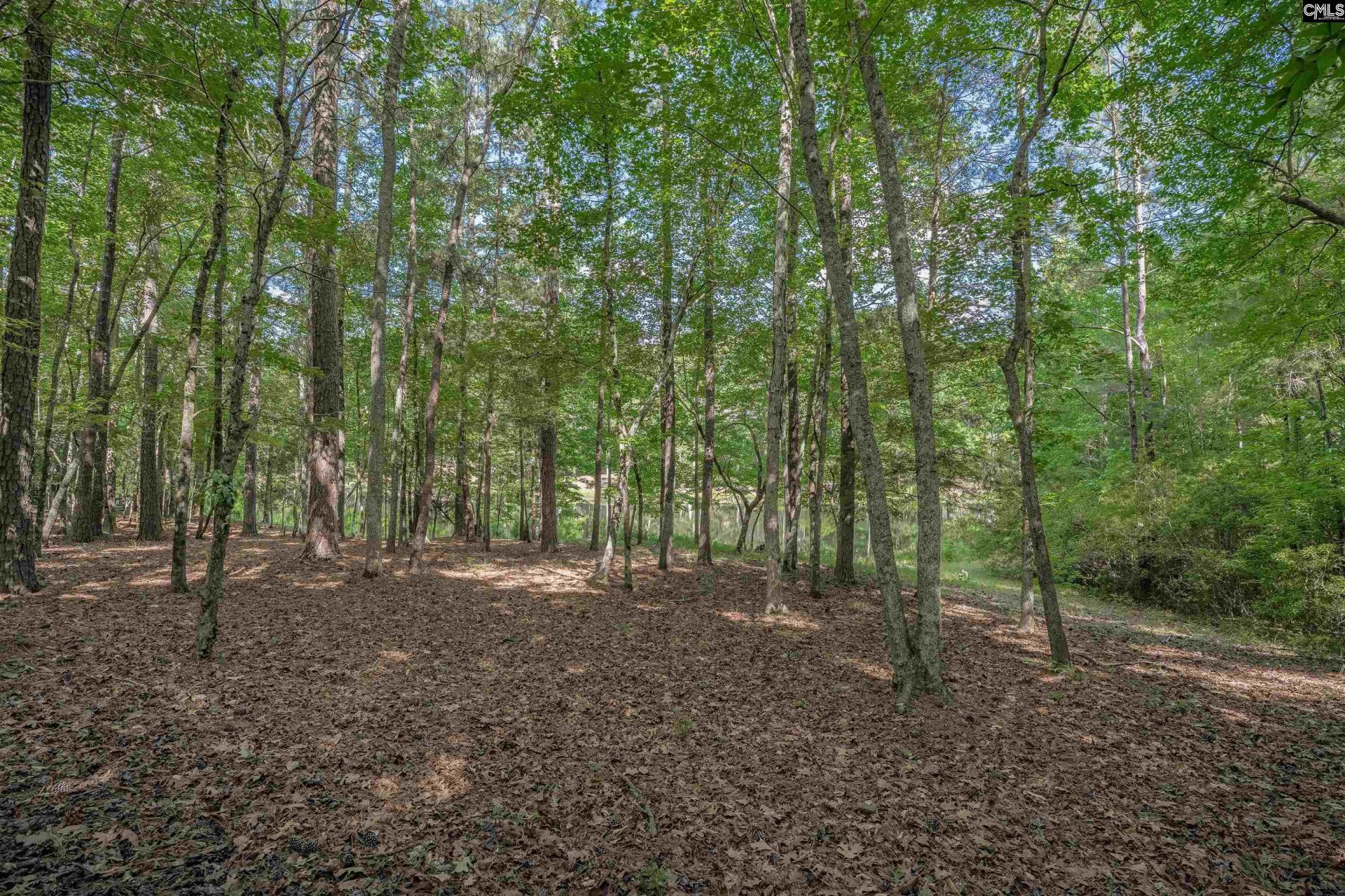 217 Ashley Oaks Drive  Photo 36