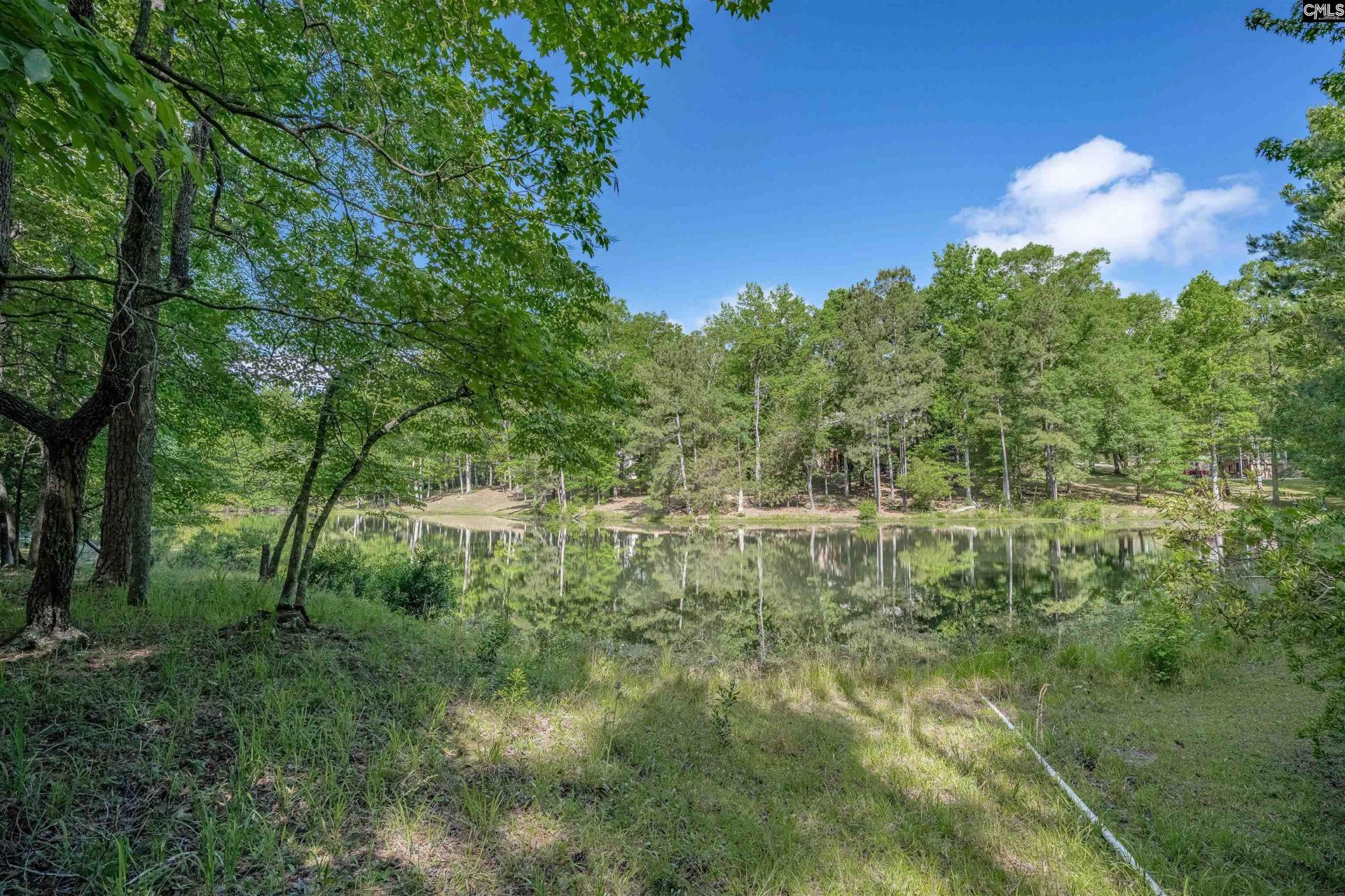 217 Ashley Oaks Drive  Photo 37