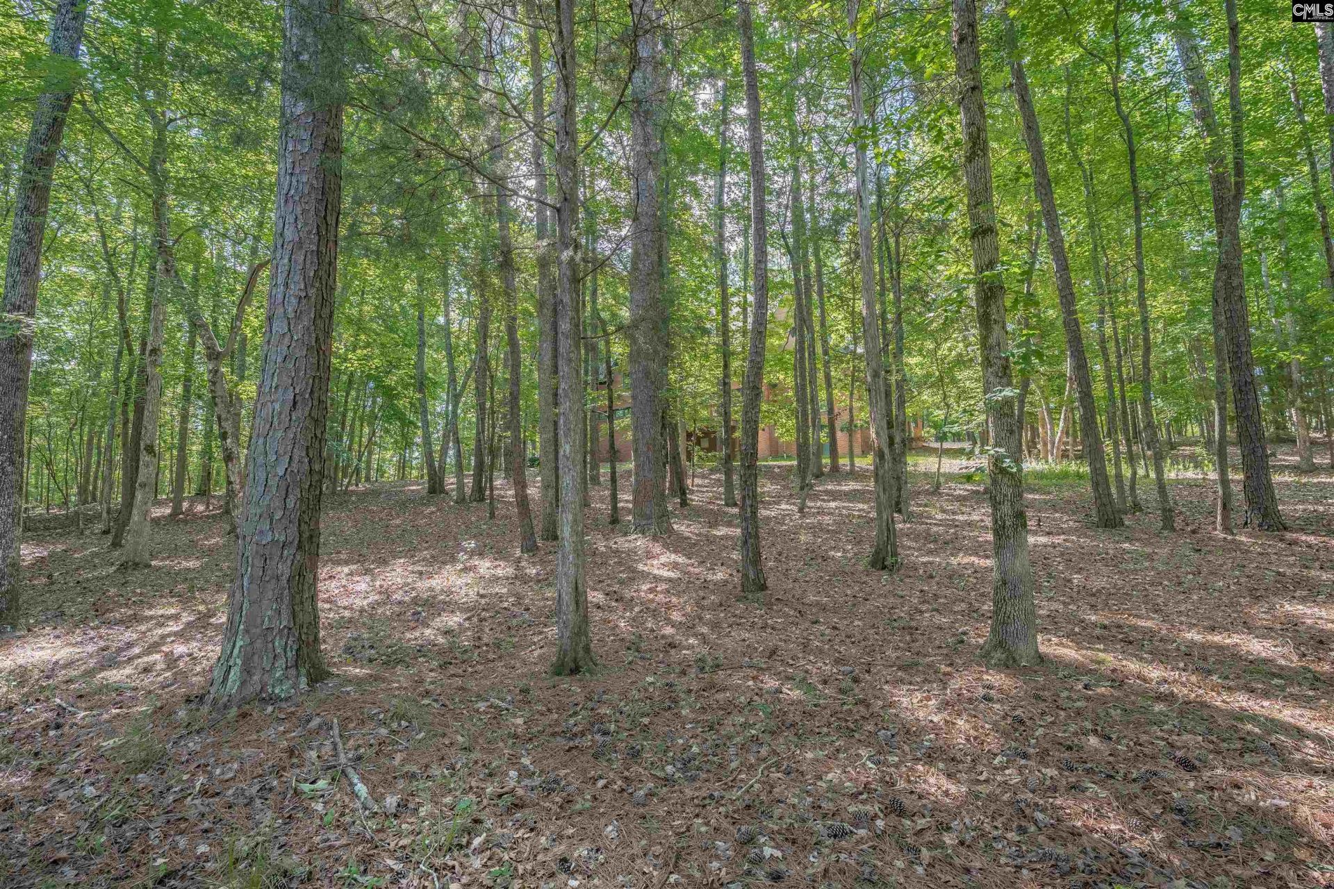 217 Ashley Oaks Drive  Photo 38