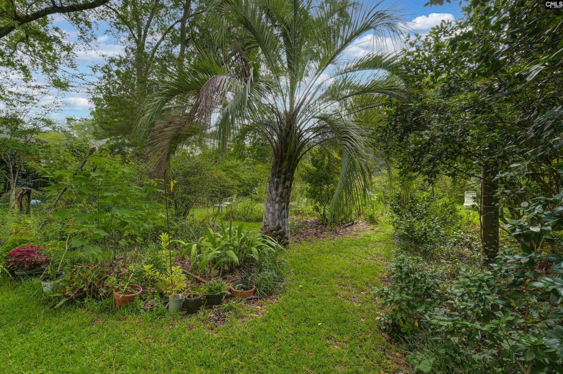 1110 Hagood Avenue Photo 49