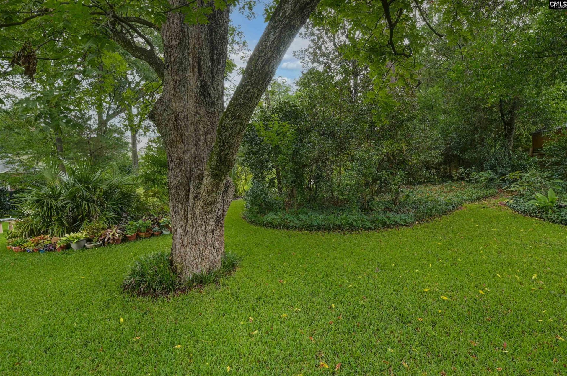 1110 Hagood Avenue Photo 51