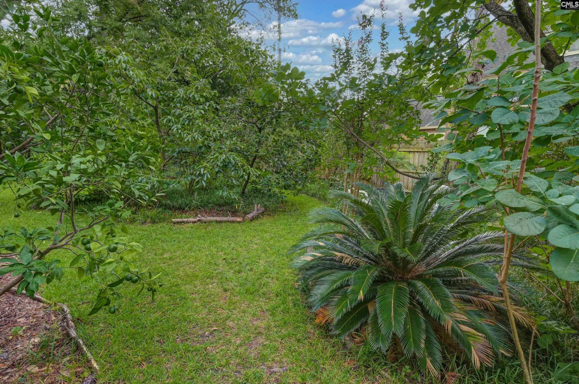 1110 Hagood Avenue Photo 52