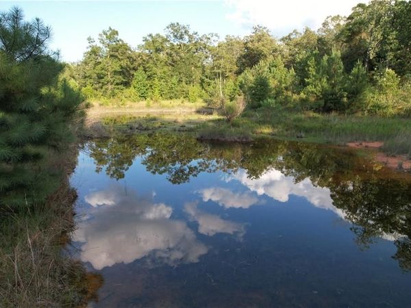 0 Hunters Trail , Citronelle, AL 36522