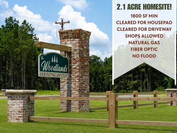 17775 Copper Pass, Livingston, LA 70754