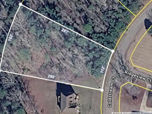 12307 Coldstream Court, Hampton, GA 30228