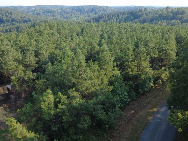 0 Rockhouse Rd , Linden, TN 37096