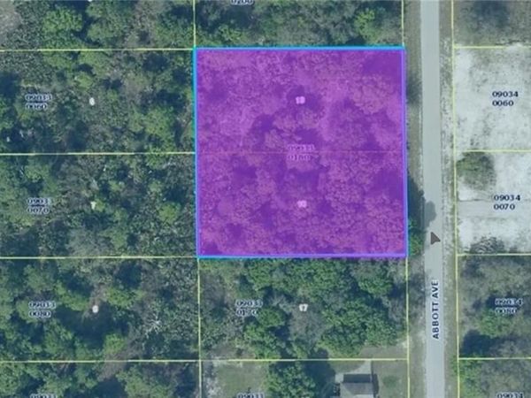 1011 Abbott AVE , LEHIGH ACRES, FL 33972