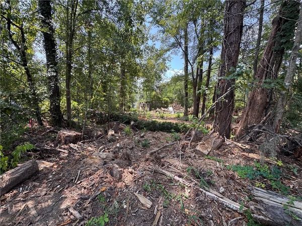 159 HALL SUBDIVISION Road, Montgomery, LA 71454