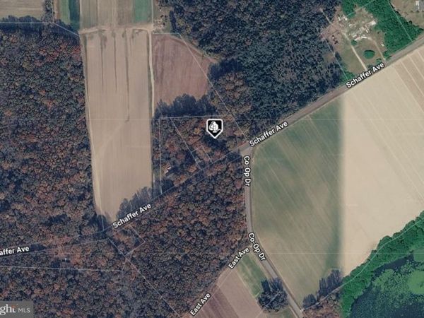 199 SCHAFER AVENUE, CEDARVILLE, NJ 08311