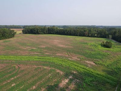 85Â± Acres - Antler Dr , Johnsonville, SC 29555
