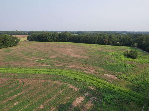 85Â± Acres - Antler Dr , Johnsonville, SC 29555