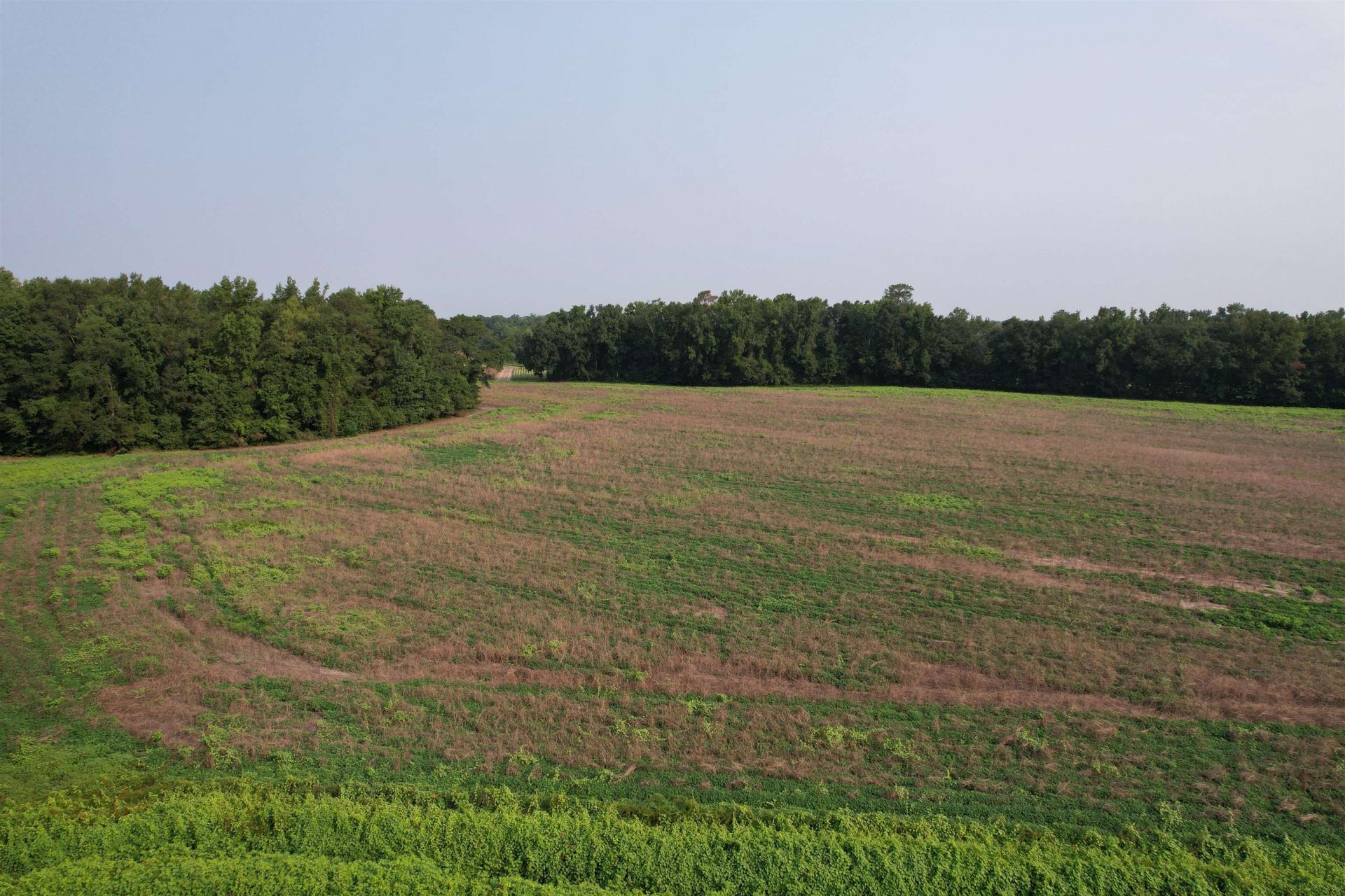 85Â± Acres - Antler Dr  Photo 10