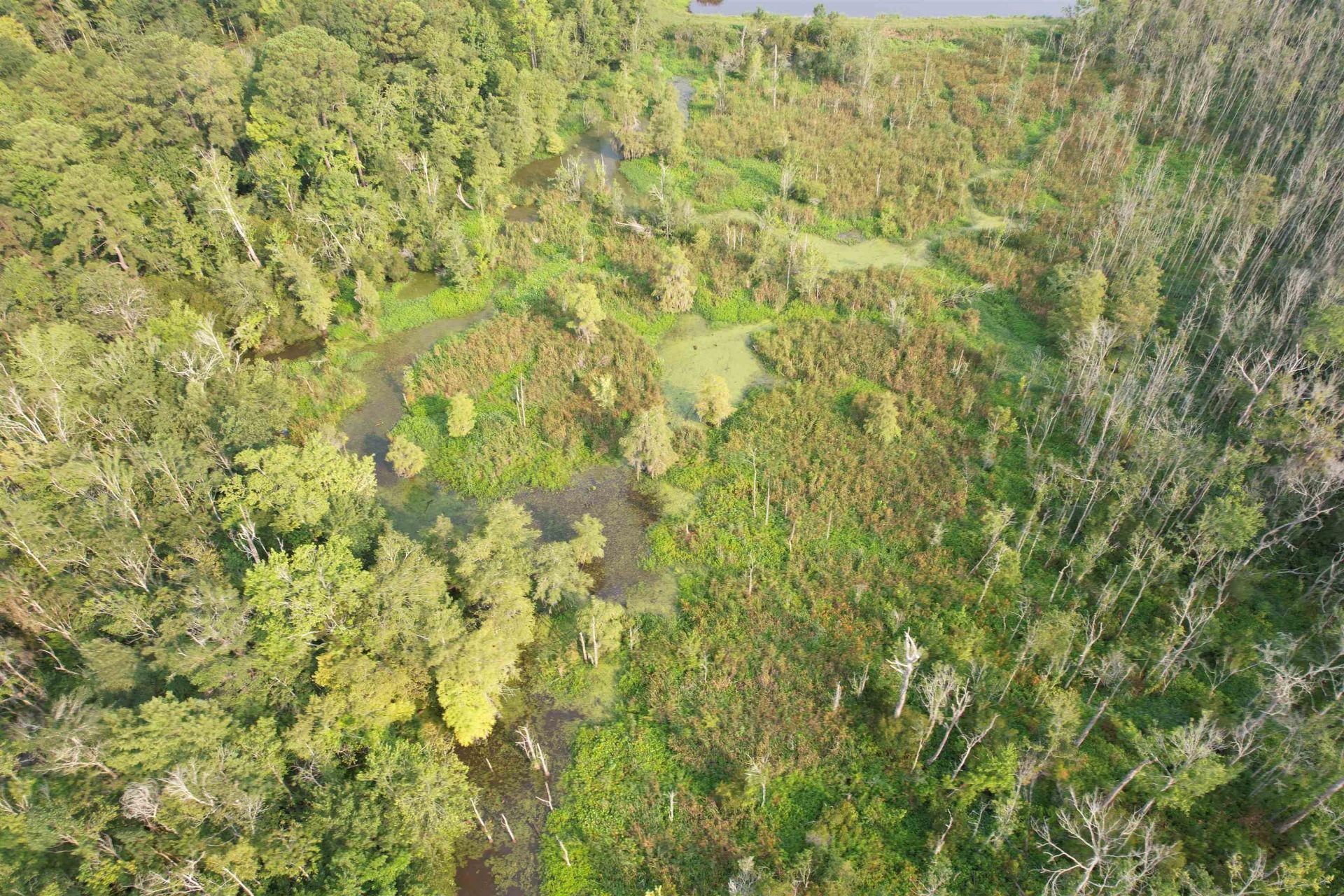 85Â± Acres - Antler Dr  Photo 12