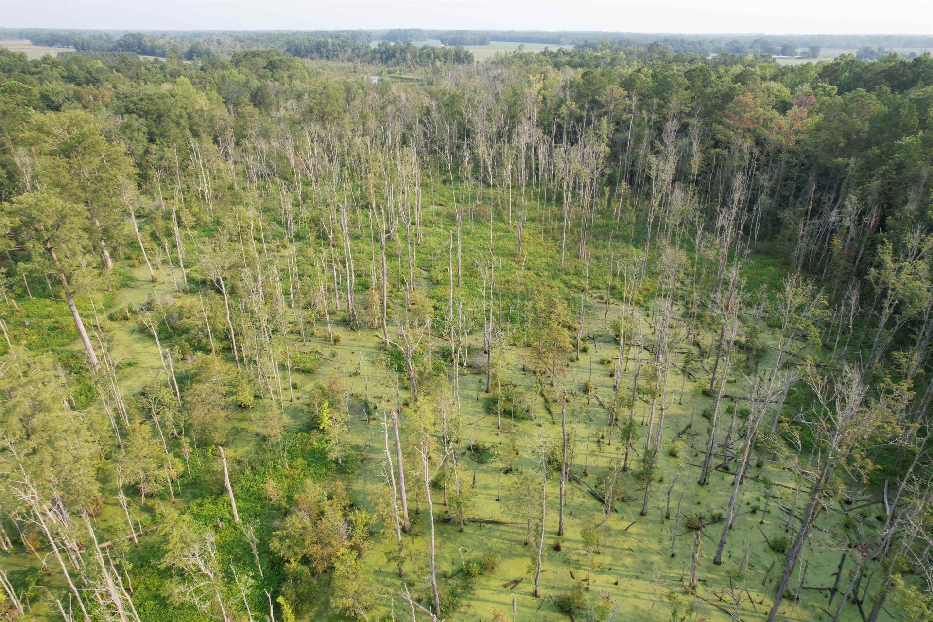 85Â± Acres - Antler Dr  Photo 13