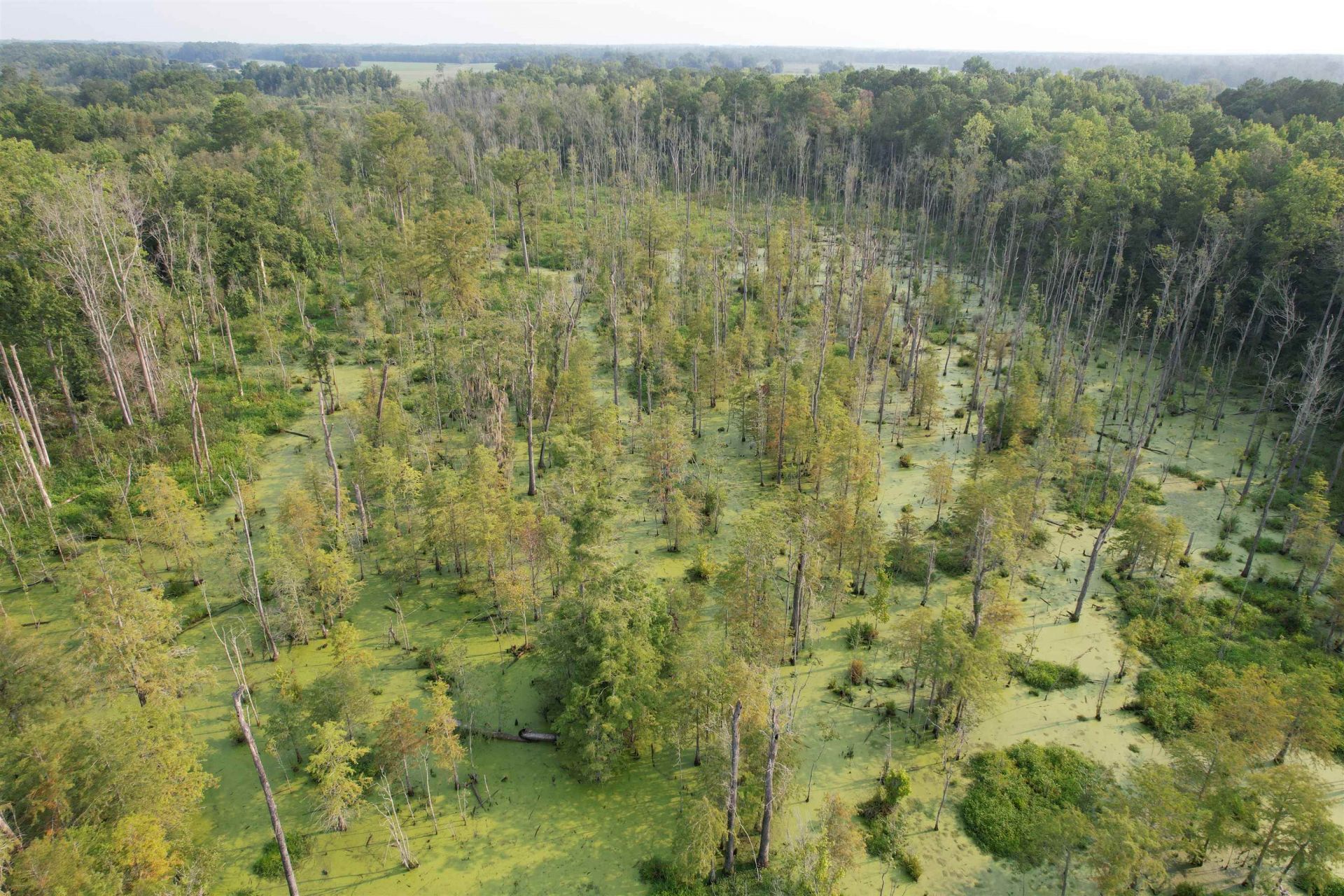 85Â± Acres - Antler Dr  Photo 14