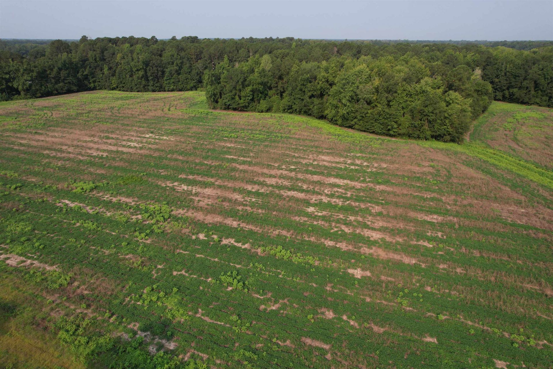 85Â± Acres - Antler Dr  Photo 15