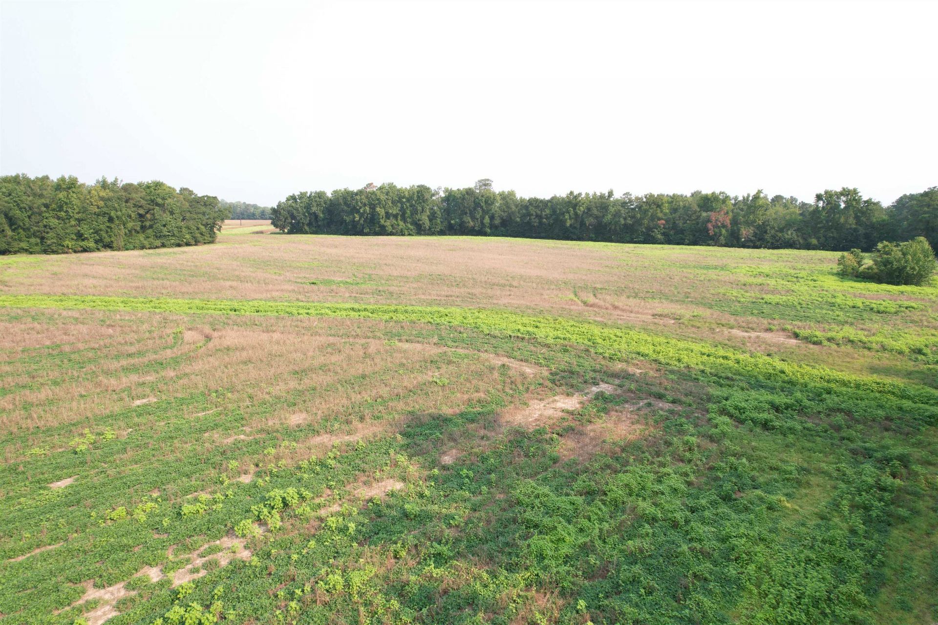 85Â± Acres - Antler Dr  Photo 16