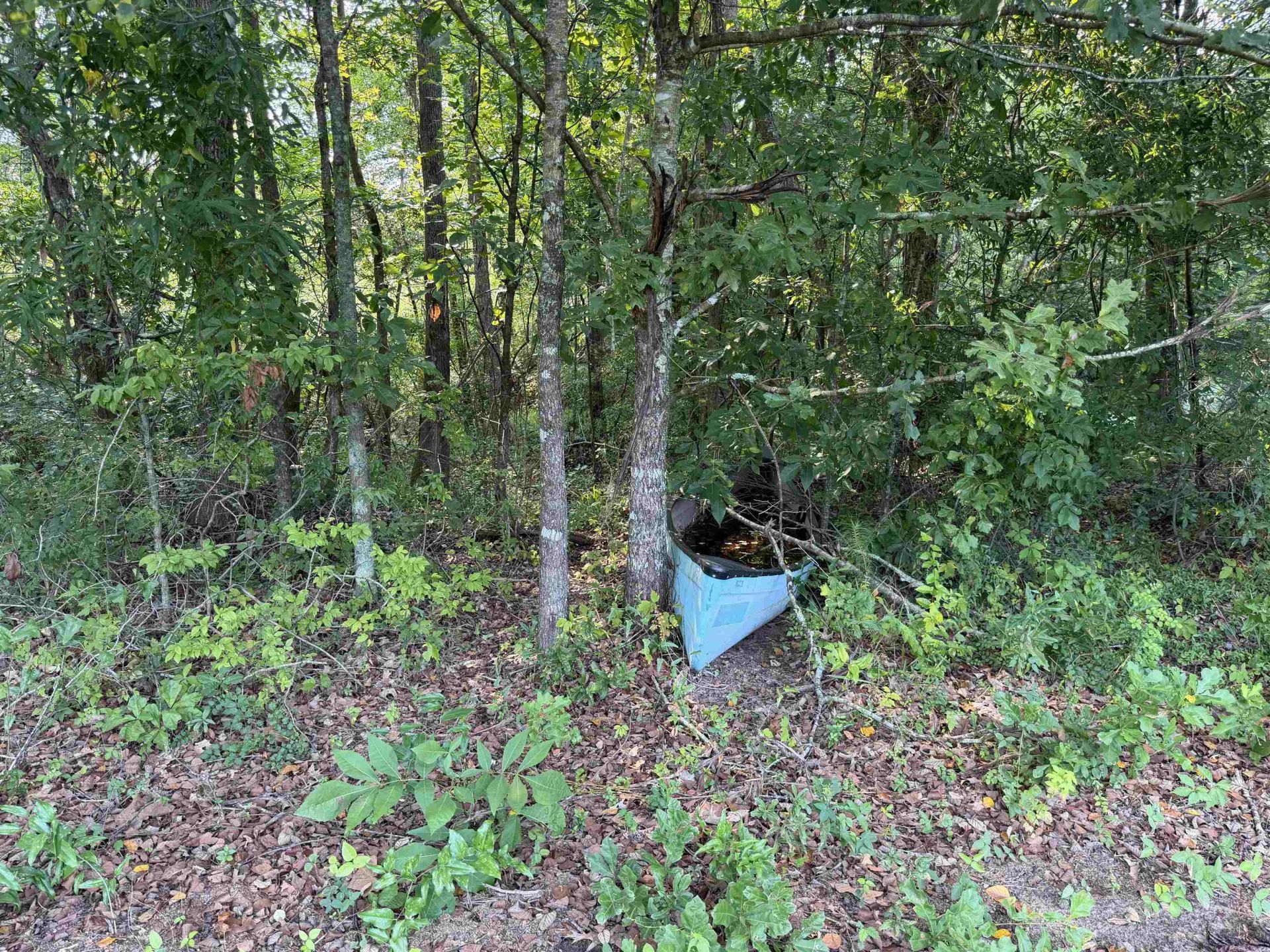 85Â± Acres - Antler Dr  Photo 17