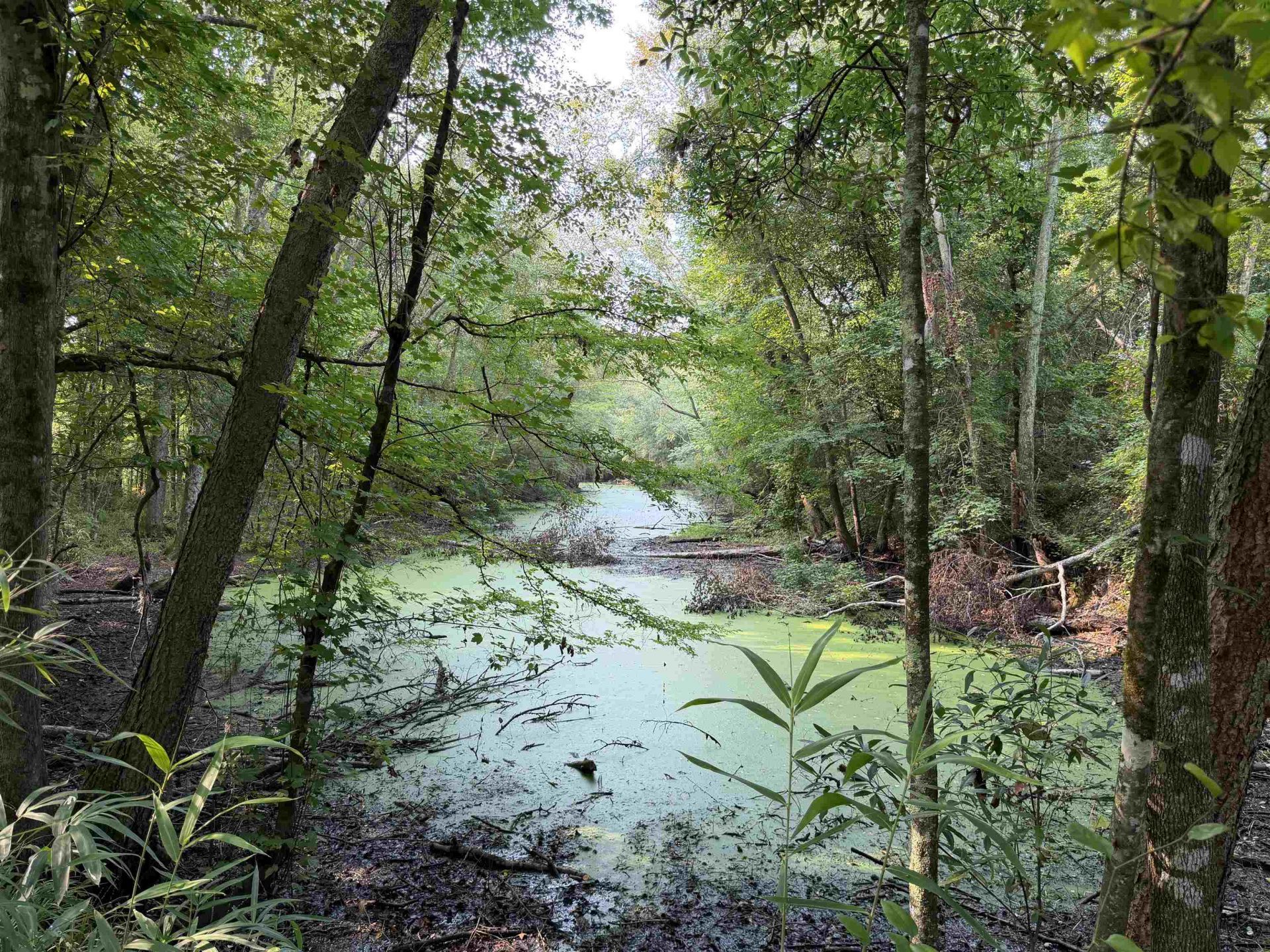 85Â± Acres - Antler Dr  Photo 18