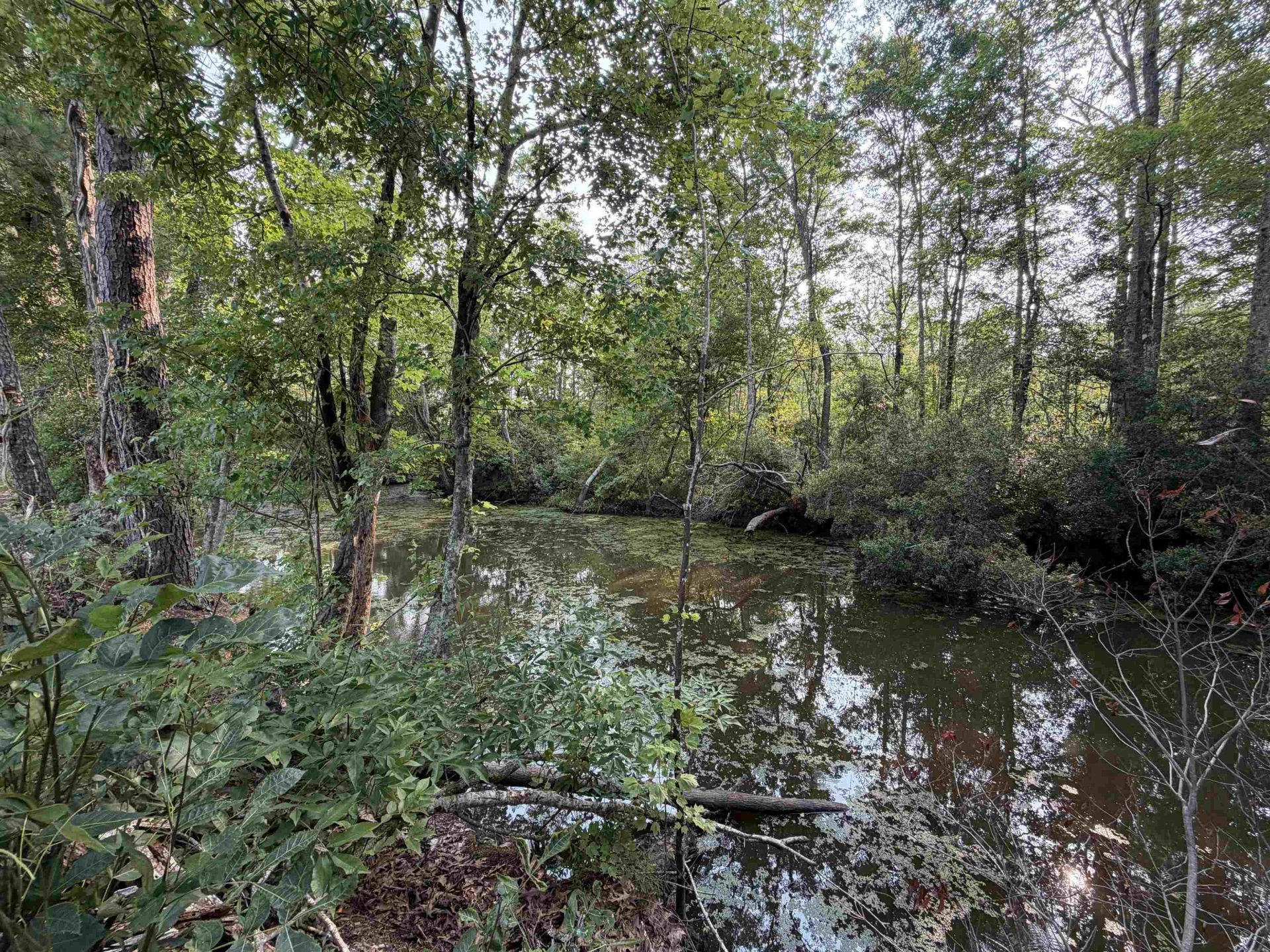 85Â± Acres - Antler Dr  Photo 20