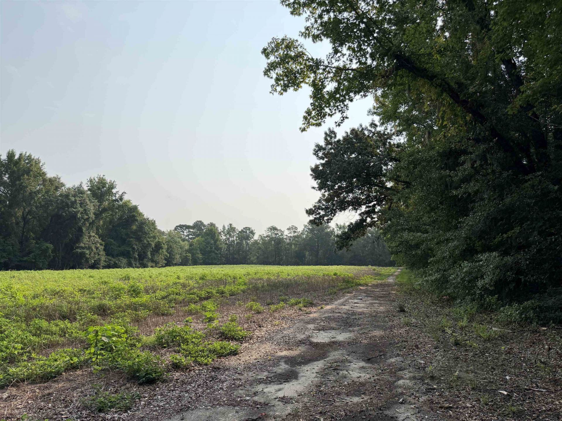 85Â± Acres - Antler Dr  Photo 21