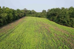 85Â± Acres - Antler Dr  photo 4