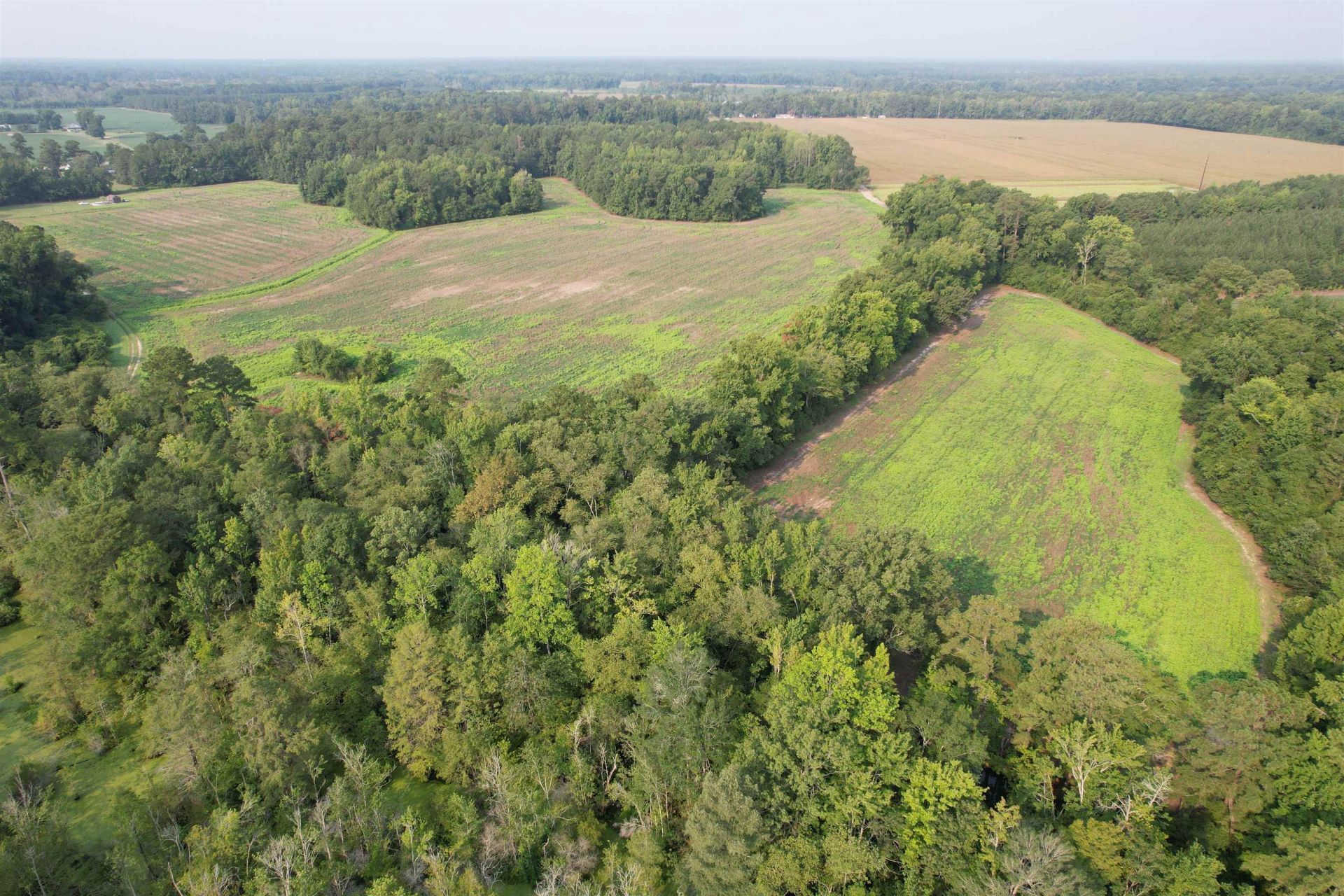 85Â± Acres - Antler Dr  Photo 4