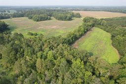 85Â± Acres - Antler Dr  photo 4