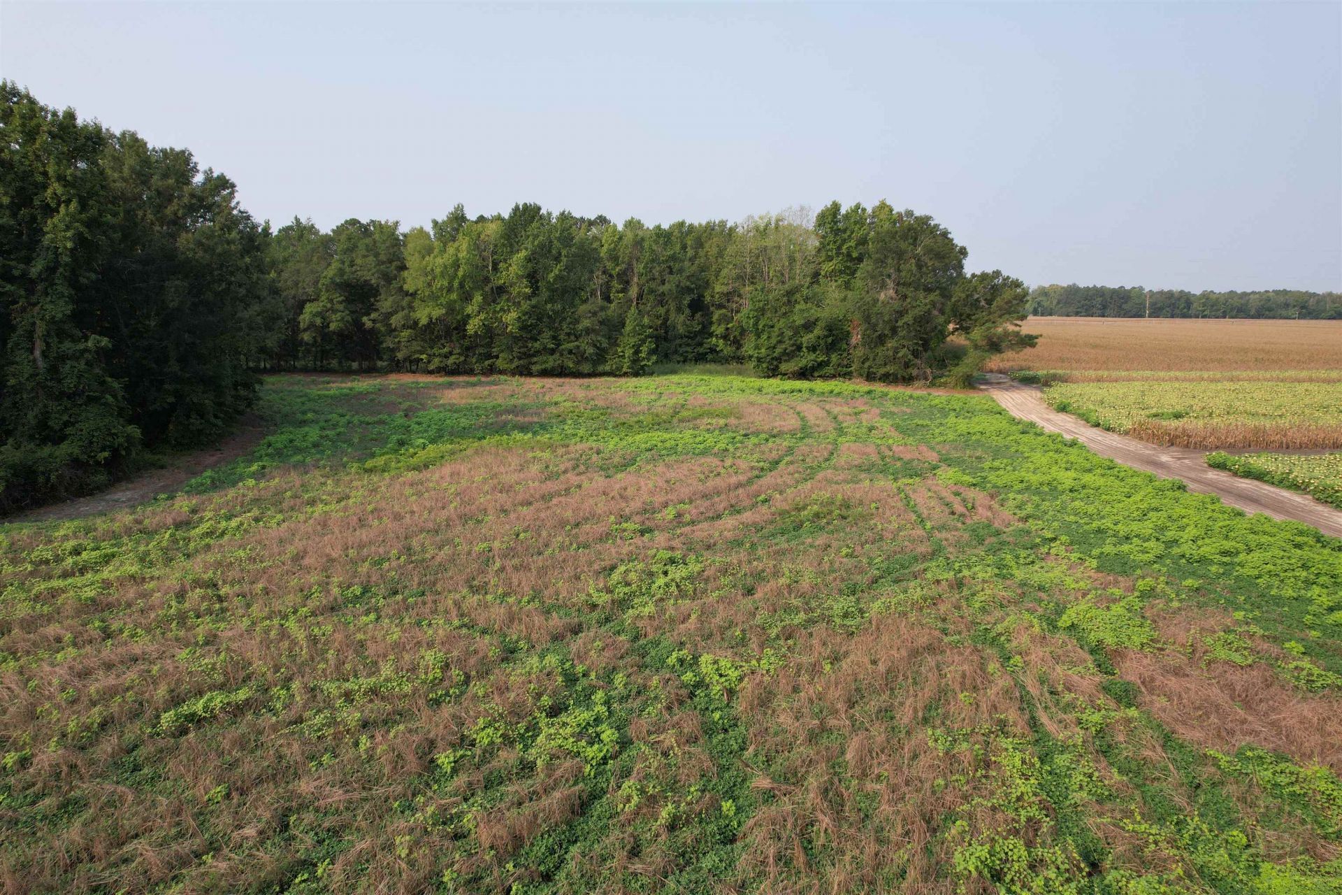 85Â± Acres - Antler Dr  Photo 5