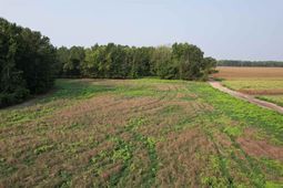 85Â± Acres - Antler Dr  photo 4