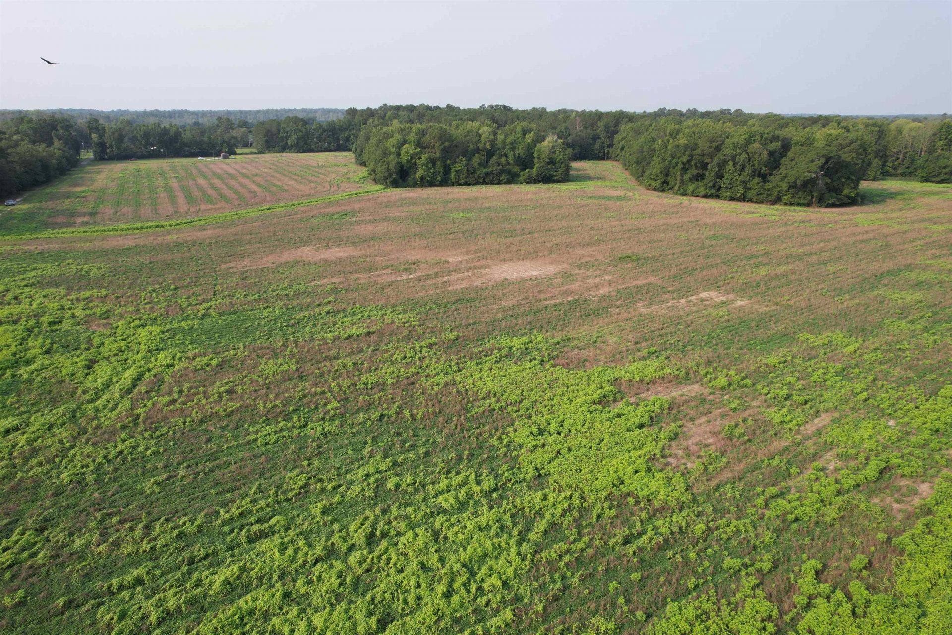 85Â± Acres - Antler Dr  Photo 6