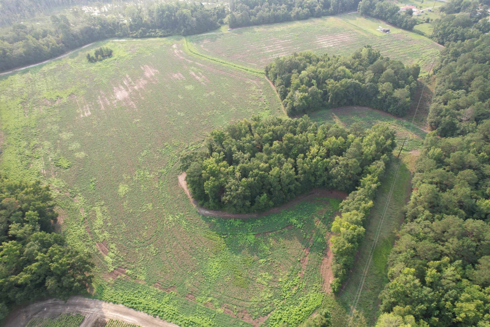 85Â± Acres - Antler Dr  Photo 7