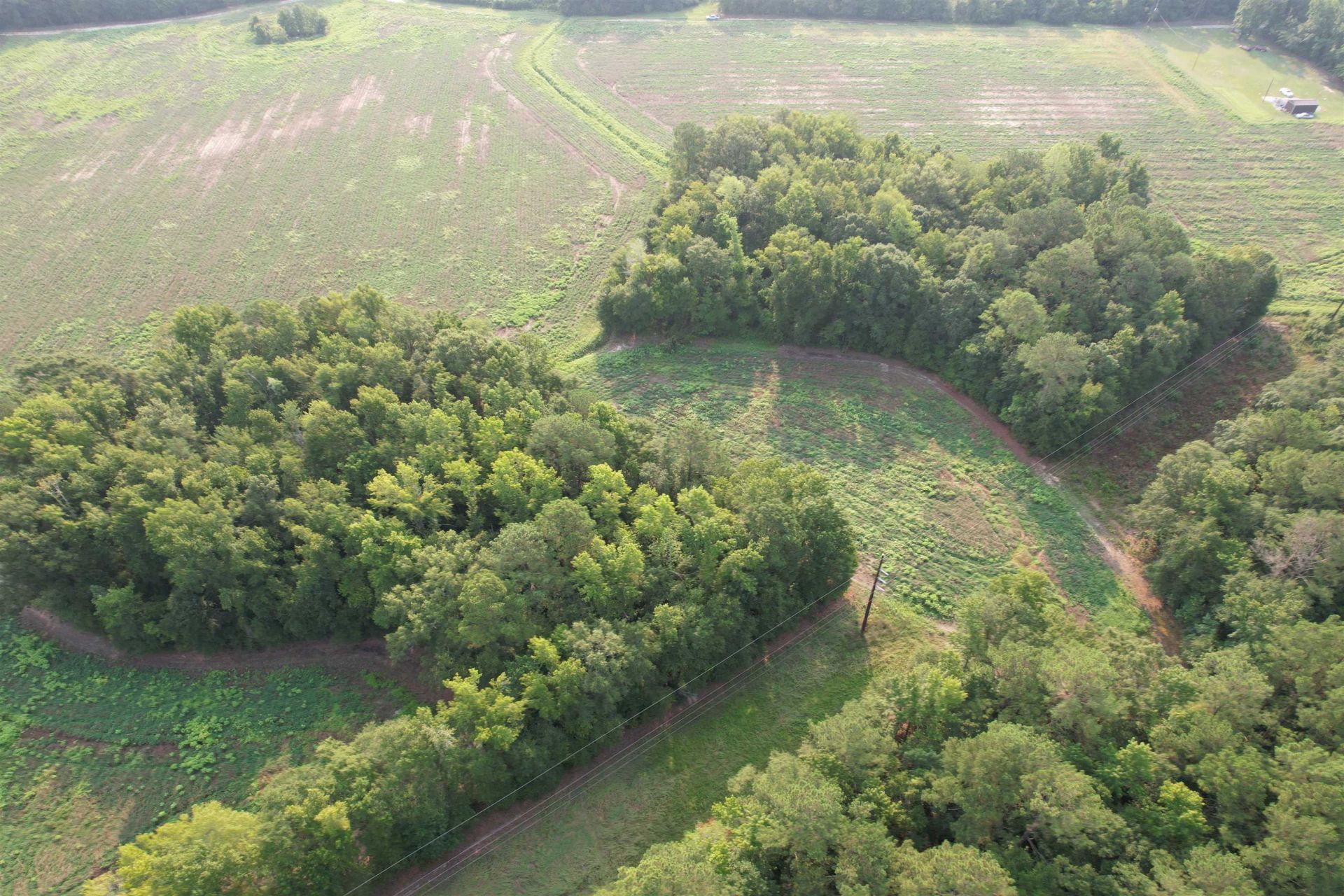 85Â± Acres - Antler Dr  Photo 8
